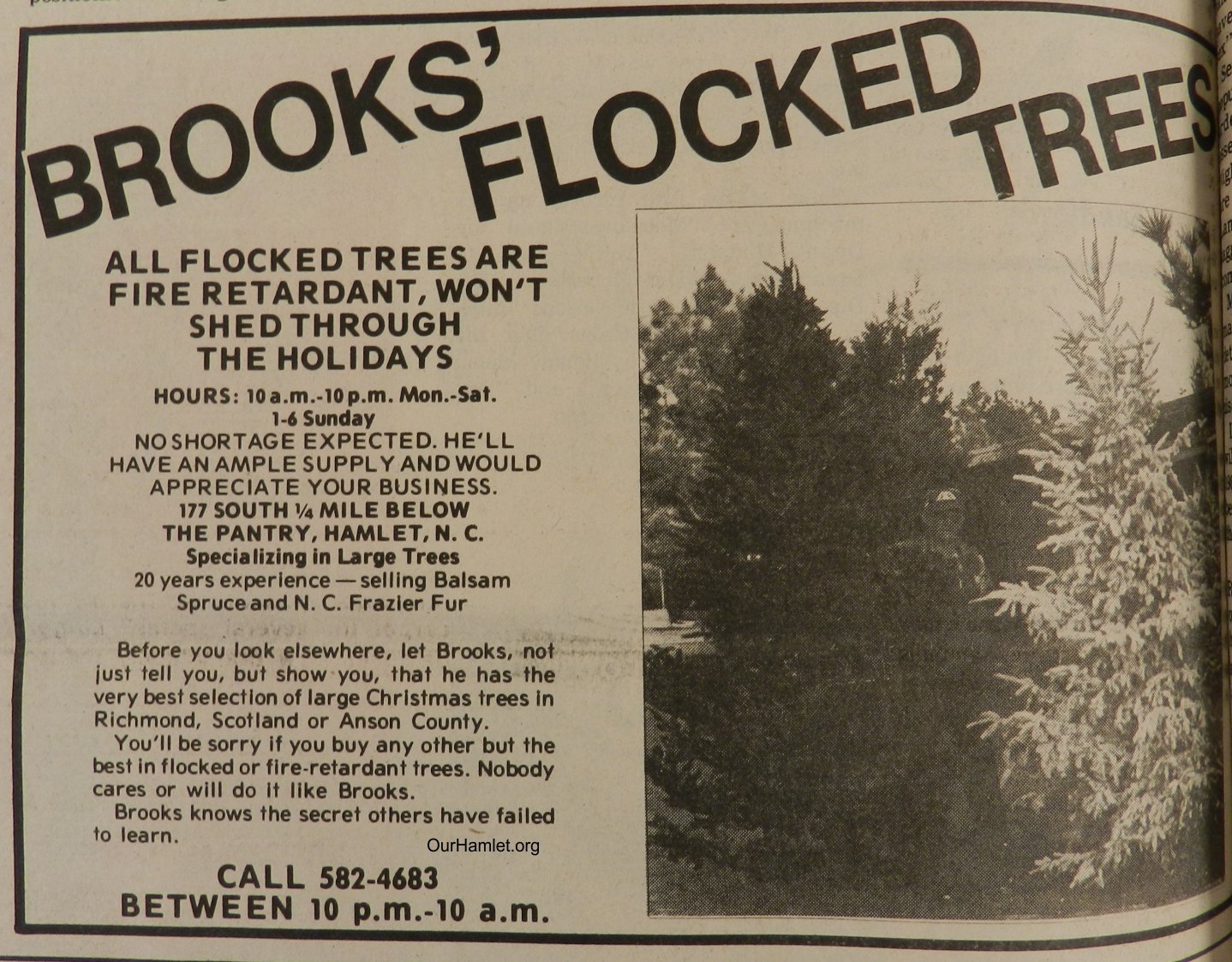 1980 Brooks Flocked Trees OH.jpg