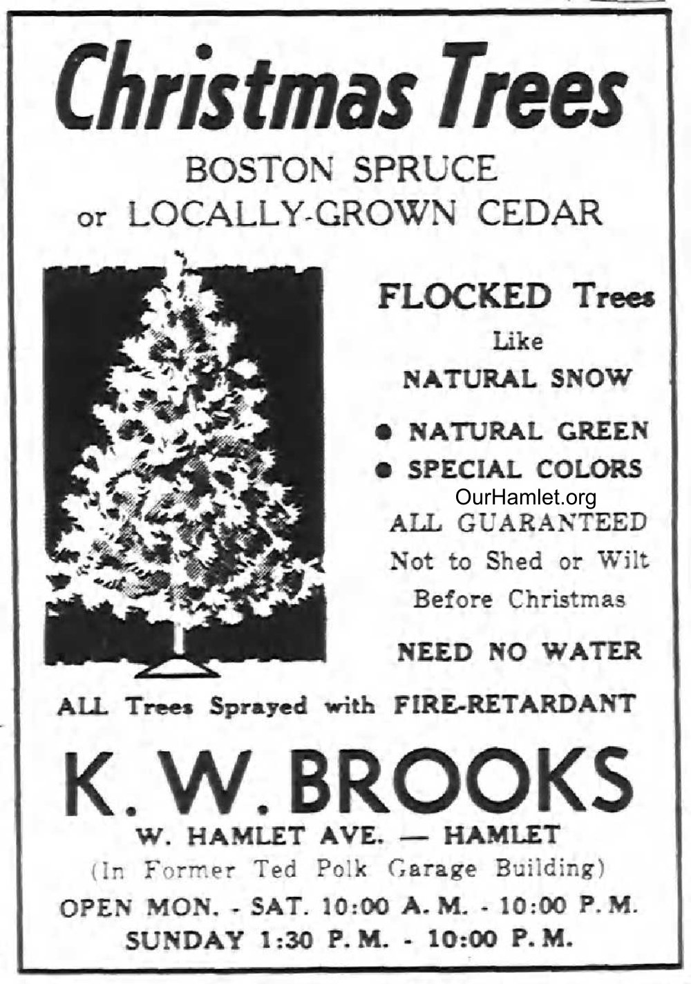 1968 Brooks Christmas Trees OH.jpg