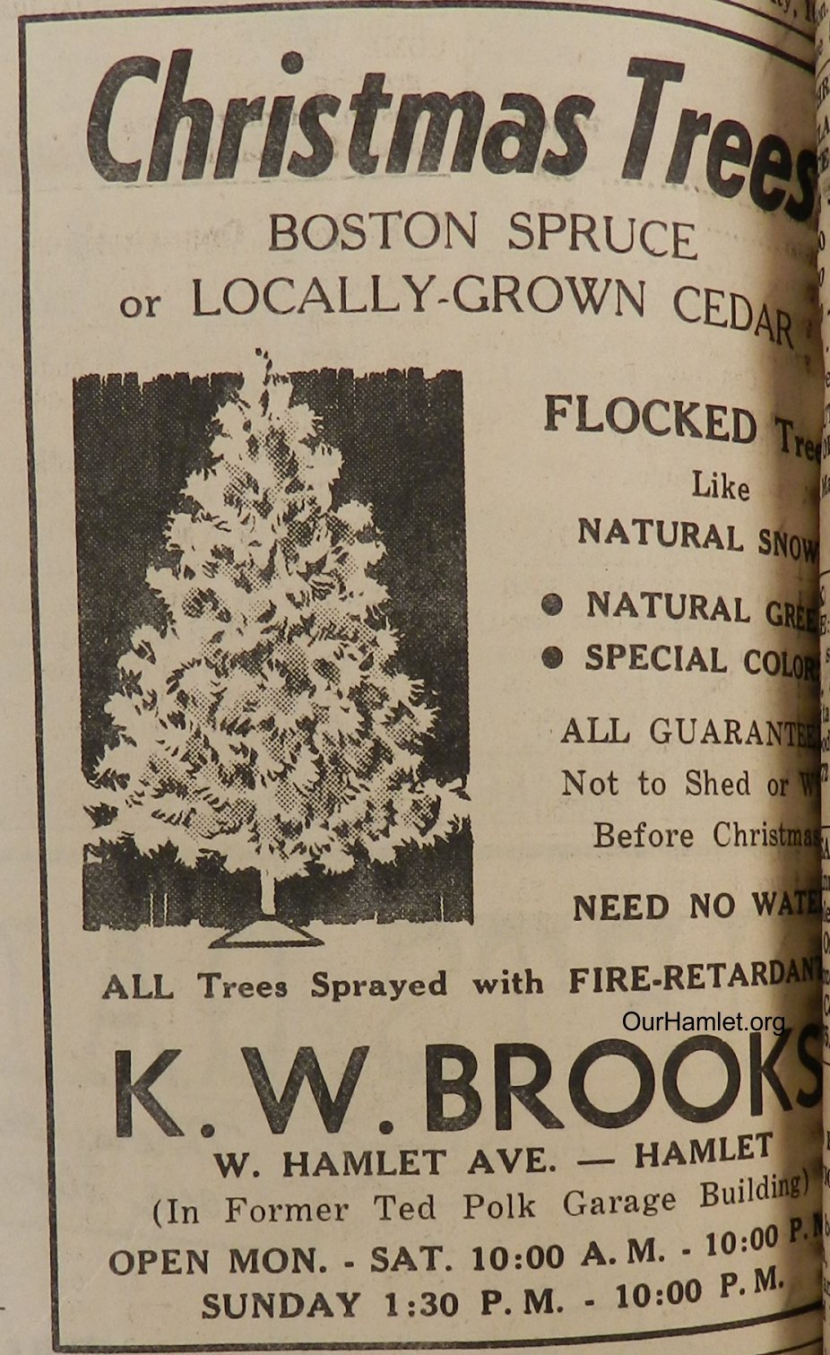 1968 Brooks Christmas trees OH.jpg