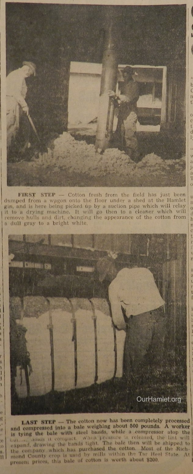 1950 Hamlet Gin 2 OH.jpg