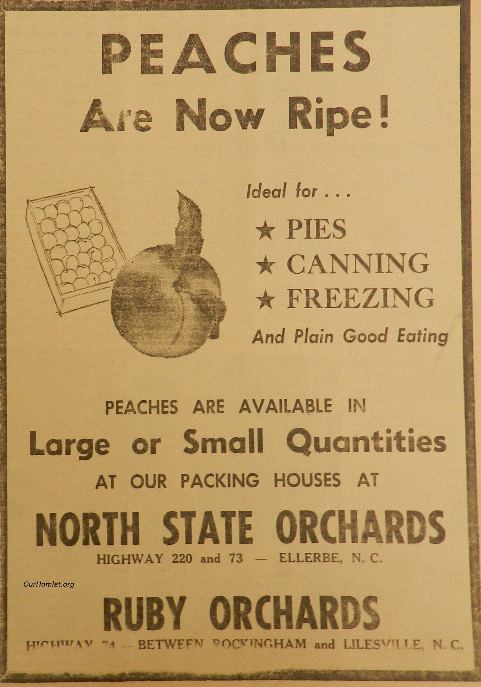 1961 Ruby Orchards OH.jpg