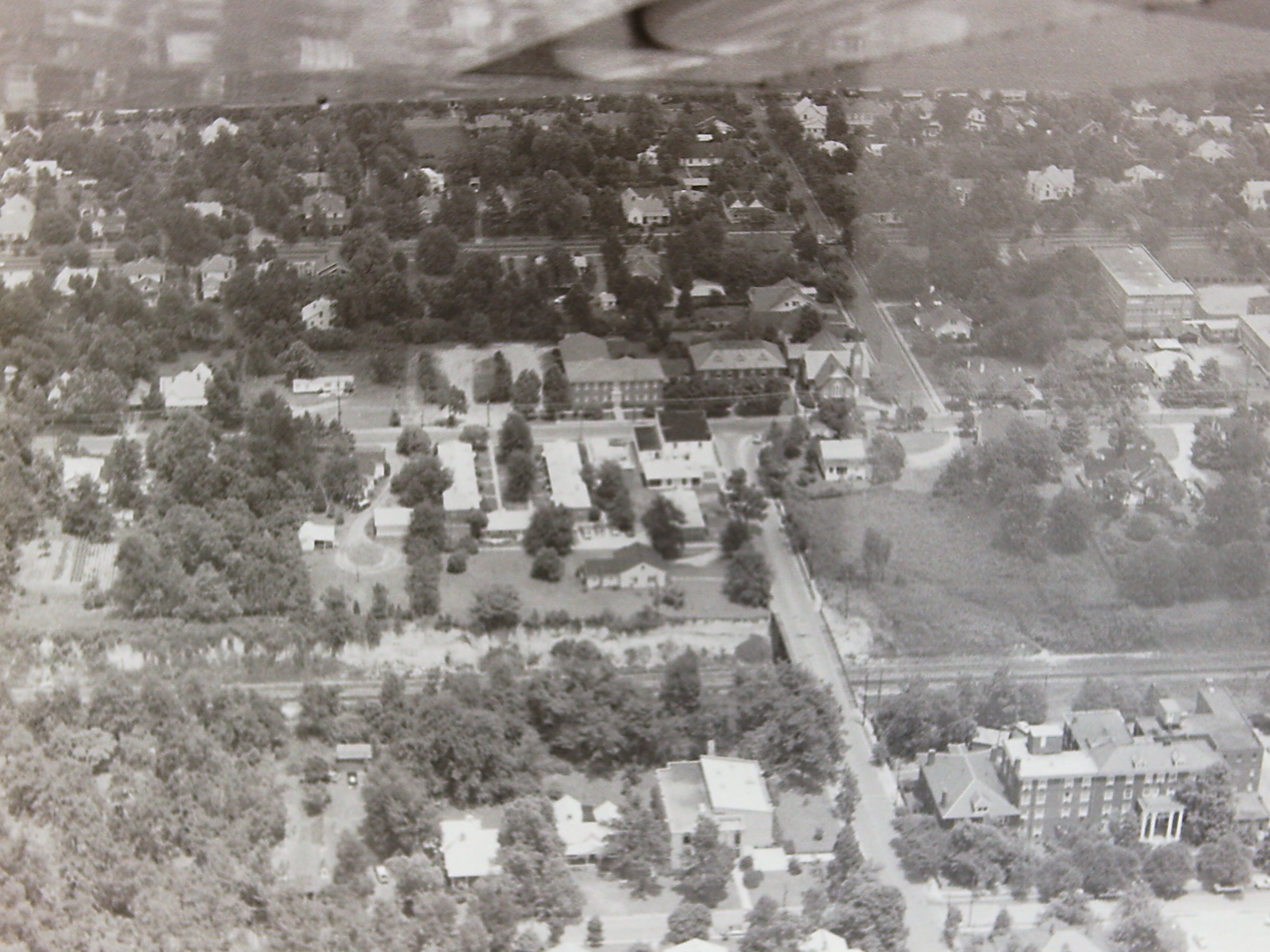 My beautiful picture